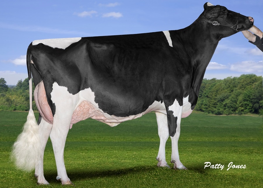 Rainyridge Sanchez BETH