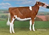 Ruegruet Big Apple MELUSINA (Big Apple x Maryrose)